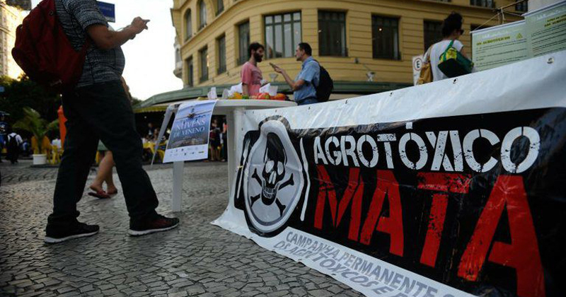 Protesto no Dia Internacional de Luta contra os Agrotóxicos (2014) - Foto: Fernando Frazão/Agência Brasil