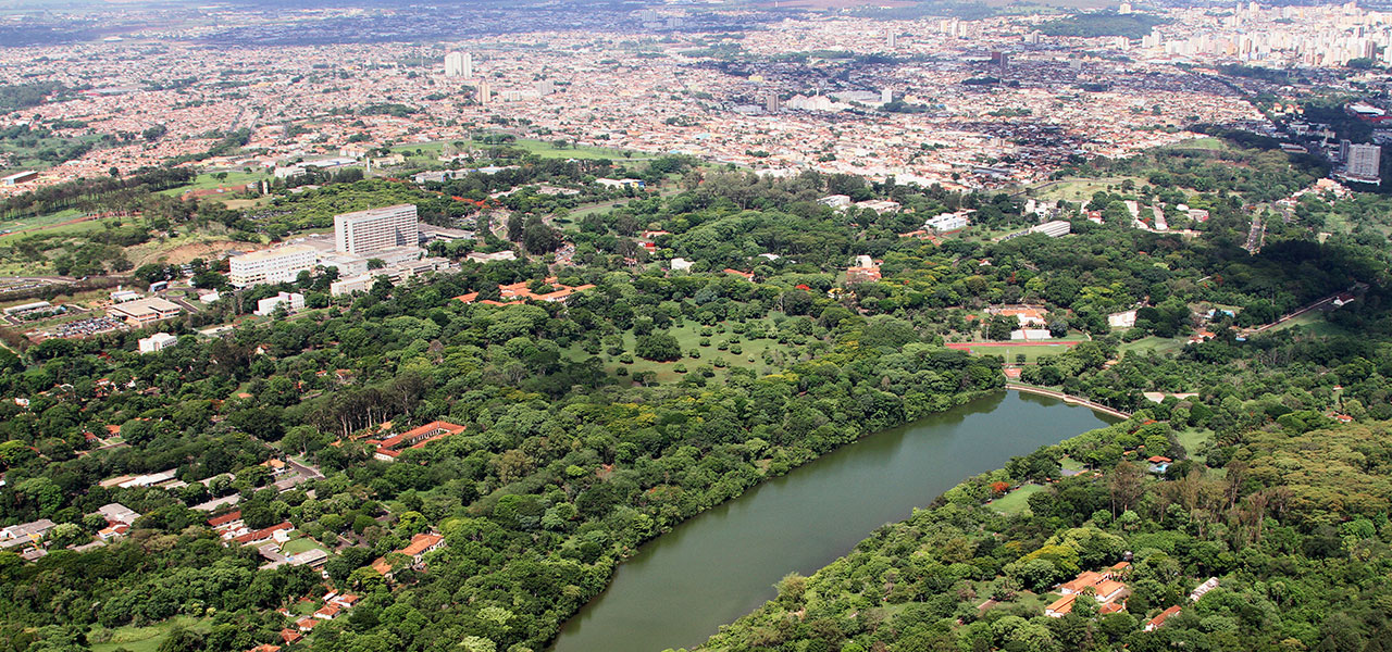 Vista aérea do campus da USP e da cidade de Ribeirão Preto mostra o contraste da área verde – Foto: Silvio Tucci Tucci Jr.