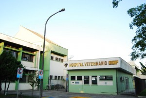 USP tem vagas para residência médica veterinária
