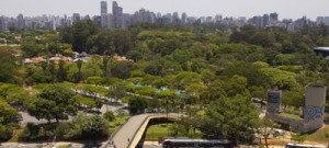 Grossmann critica projeto de desestatização do Ibirapuera