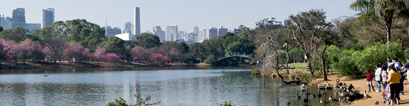 Parque do Ibirapuera - Foto: Igor Schutz/Wikimedia Commons