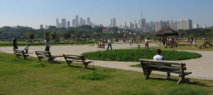 Colunista considera polêmica a lei que concede parques à iniciativa privada