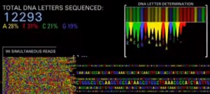 Edição de genomas: avanço nas fronteiras do que a engenharia genética é capaz de fazer
