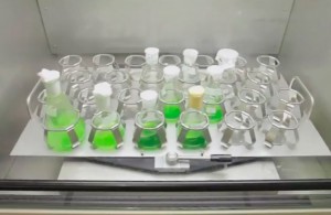 Estudantes de Lorena apresentarão novo biodiesel em competição internacional de biologia sintética