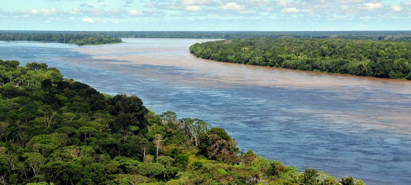 Amazônia - Foto: Wikimedia Commons