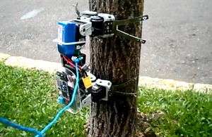 Poli cria robô inspirado em lagarta para monitoramento ambiental