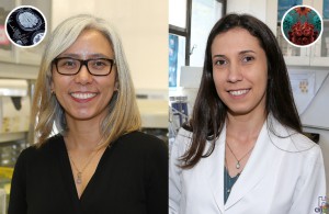 Conheça as pesquisadoras da USP que venceram prêmio L’Oréal Unesco para mulheres cientistas