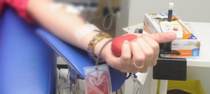 Faculdade de Medicina Veterinária e Zootecnia faz campanha de doação de sangue