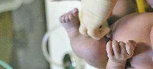 Bebê nascido com zika teve vírus detectado até os dois meses de vida
