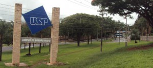 USP em Ribeirão Preto cria comissão para prevenir violência no campus