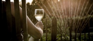 Para enófilo o aroma do vinho pode reviver lembranças passadas