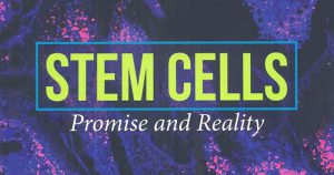 Pesquisadora do Centro de Terapia Celular lança versão internacional de livro sobre células-tronco