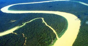Substituição de floresta altera comunidades de micro-organismos no solo da Amazônia