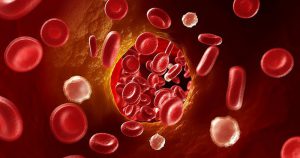 Nanocápsulas removem da circulação partículas mais nocivas do colesterol