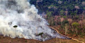 Desmatamentos na Amazônia crescem e risco é de autodegradação