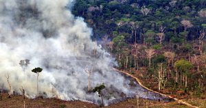 Terras indígenas funcionam como barreira ao desmatamento na Amazônia