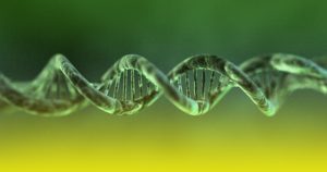 Livro aborda técnica para amplificar cópias de DNA em tubo de ensaio