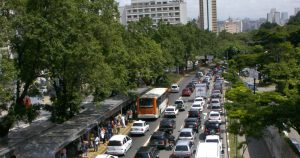 Arborização urbana e qualidade do ar são questões de saúde pública