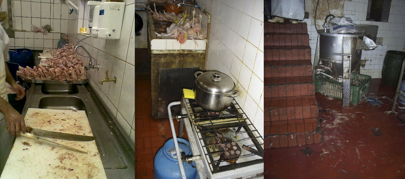Higiene precária no interior dos estabelecimentos comerciais - Fotos: Andréa Boa Nova
