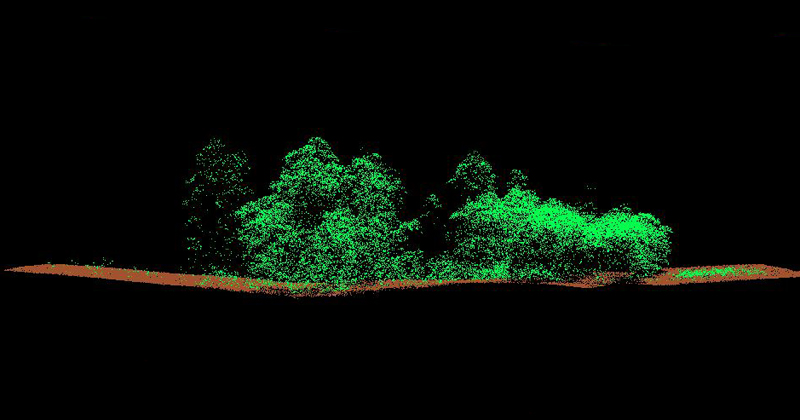 Nuvem de pontos de uma floresta produzida pelos equipamentos de escaneamento a laser - Imagem: Laboratório de Realidade Virtual