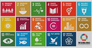 Os 17 objetivos do desenvolvimento sustentável