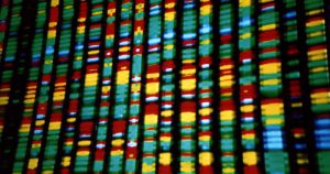 Relatório internacional prevê utilização de edição genética