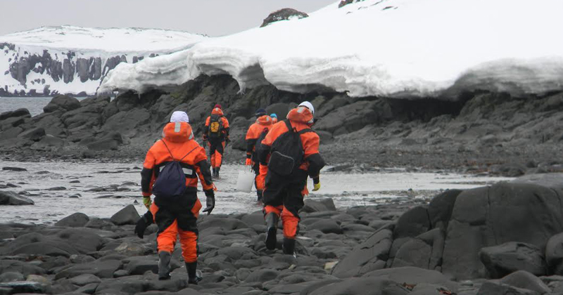 Coleta na Antártica Marítima, grupo de Biodiversidade de Macroalgas. Operação Antártica XXXIV, 2015 - Foto: Hosana Maria Debonsi