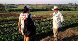Núcleo busca soluções sustentáveis para pequenos agricultores