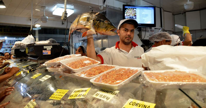 Mercado de peixe - Foto: José Cruz/Agência Brasil