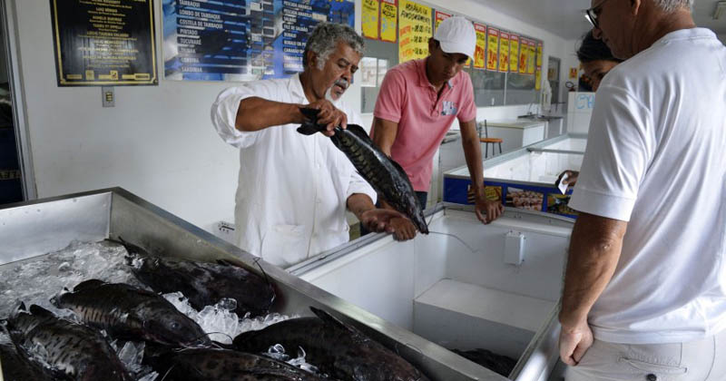 Mercado de peixes - José Cruz/Agência Brasil