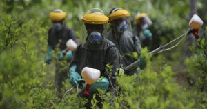 Mudanças em lei de agrotóxicos colocam em risco segurança alimentar