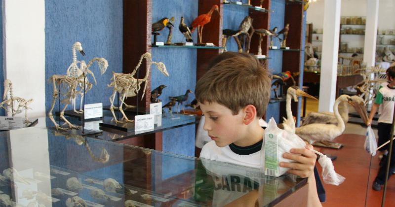 Criança examinando exemplares de animais que estão em exibição no Museu de Anatomia Veterinária da Faculdade de Medicina Veterinária e Zootecnia da Universidade de São Paulo (FMVZ – USP). Foto: Marcos Santos.