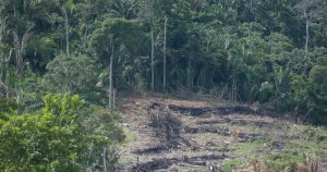 Violência e impunidade são propulsores do desmatamento na Amazônia