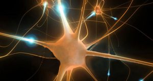 USP oferece curso gratuito sobre neurociência para professores do ensino básico