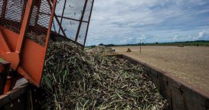 China lidera exportação agrícola de Ribeirão Preto pelo segundo ano