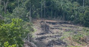 Para permanecer potência agrícola, Brasil deve preservar Amazônia