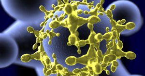 Descrever novos vírus aumenta rede de vigilância de novas epidemias