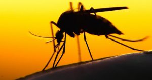 Ministério Público pede alteração em medida provisória sobre zika vírus