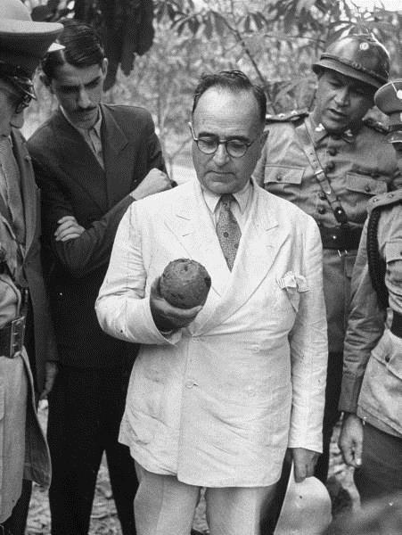 Em visita ao Pará, em 1940, o presidente Getúlio Vargas observa o fruto da castanheira – Foto: Life