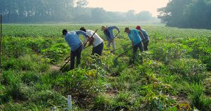 Projeto de lei sobre trabalho rural fere direitos humanos