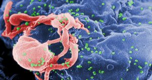 Parceria leva alunos da USP a estudarem vírus HIV nos Estados Unidos