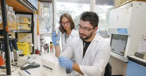 Biologia molecular avança na guerra contra a resistente Leishmania