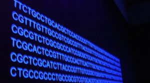 Simpósio mostra aplicações de nova técnica de edição de genomas