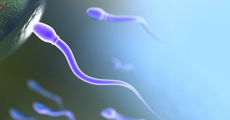 Alerta: varicocele é a principal causa de infertilidade masculina