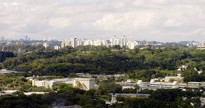 Como surge e para onde vai um dos maiores poluentes de São Paulo