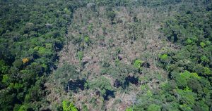 Intervenções na Amazônia maquiam problemas, aponta pesquisador