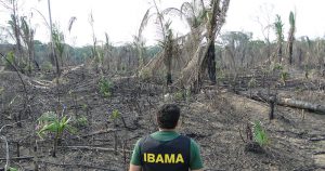 Decisão técnica do Ibama sobre exploração de petróleo no Amazonas vira problema político