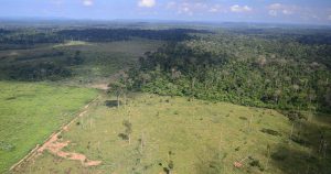 Floresta Amazônica luta contra desmatamento