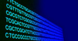 Instituto de Biociências realiza evento sobre aconselhamento genético