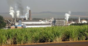 Pandemia coloca em risco usinas de cana-de-açúcar